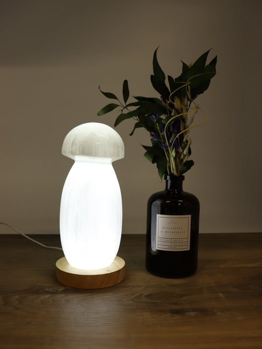 Selenite Mushroom Lamp with LED Base