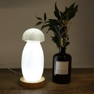 Selenite Mushroom Lamp 20cm with LED Base