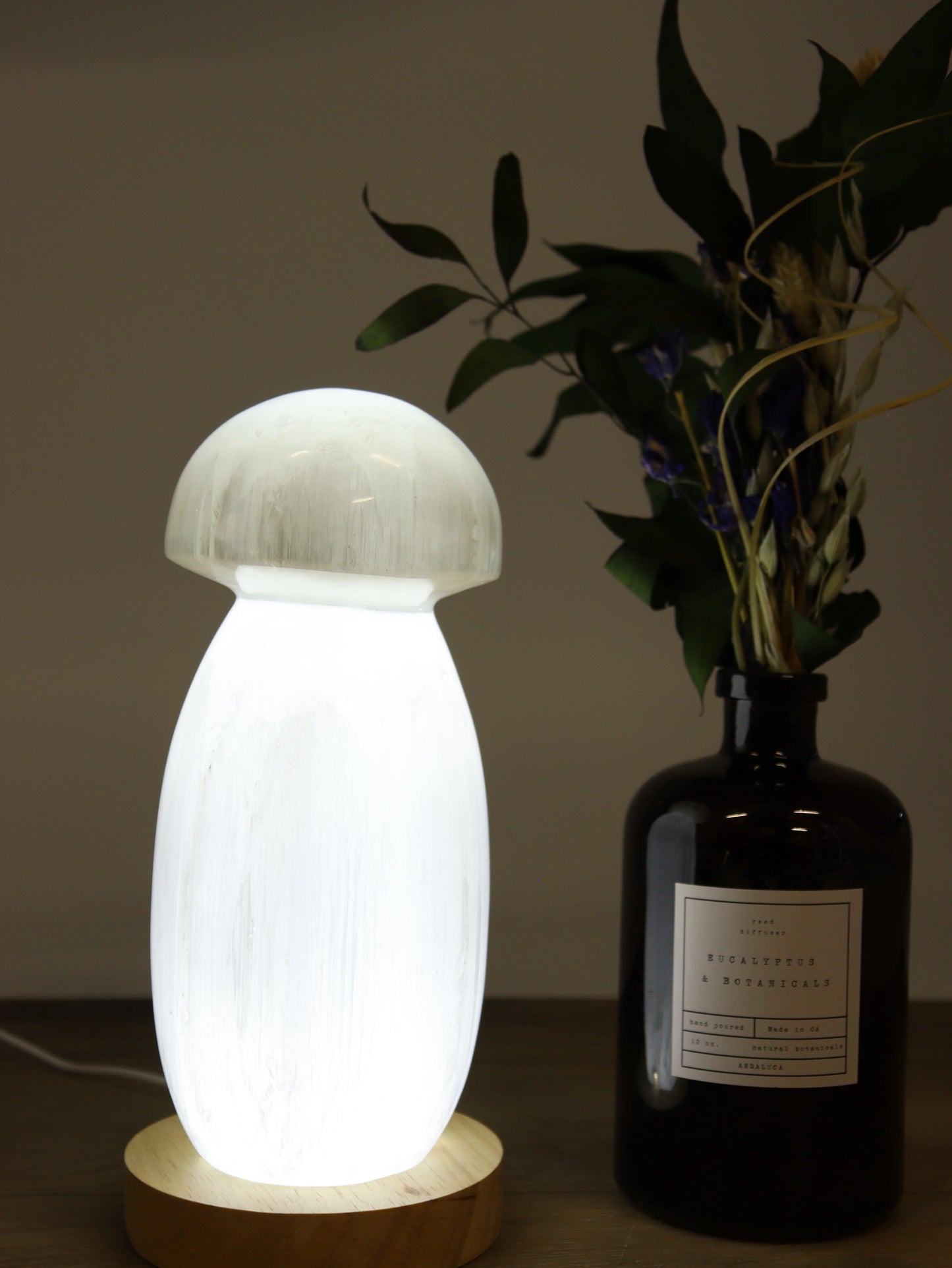 Selenite Mushroom Lamp with LED Base