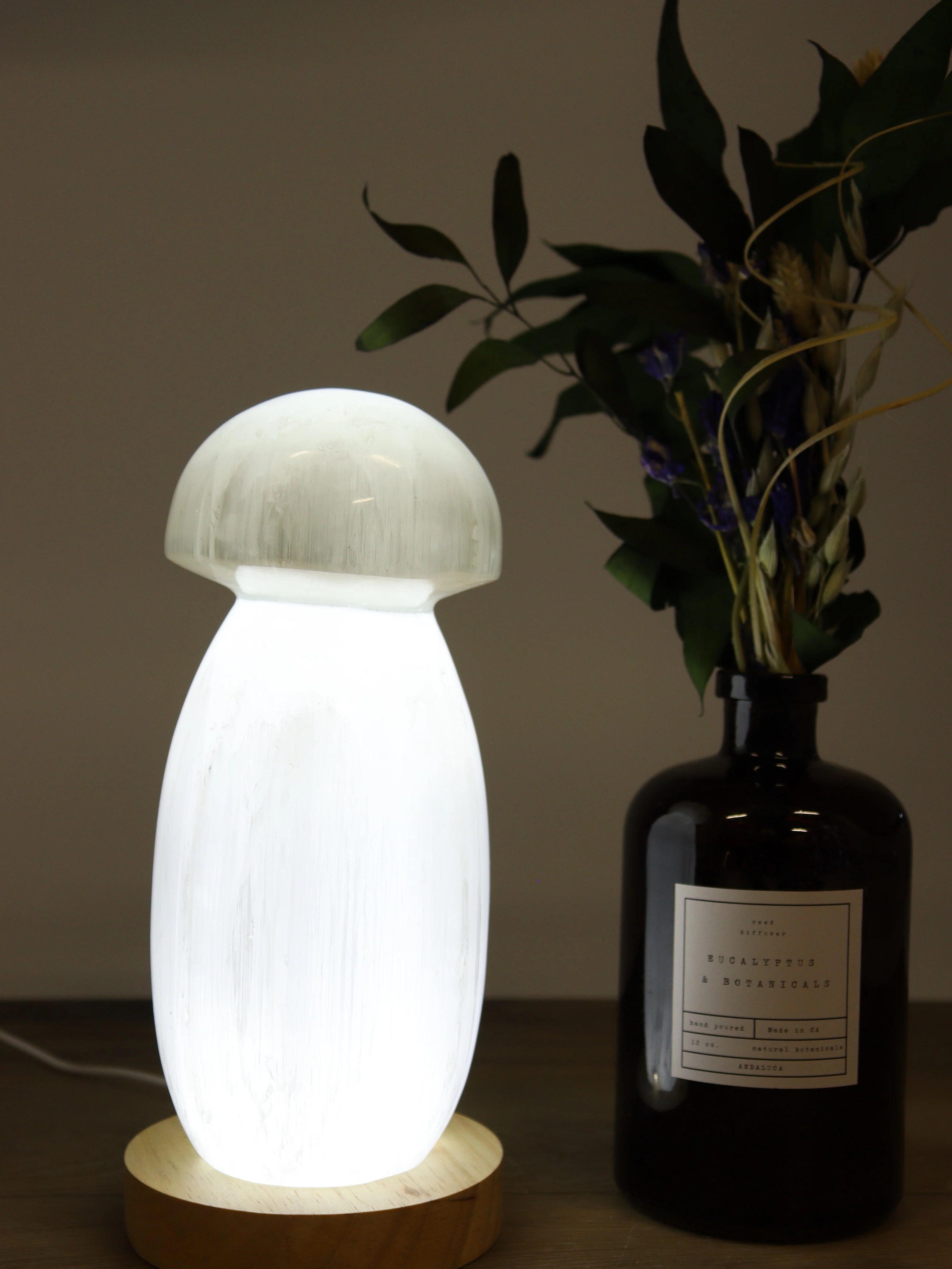Selenite Mushroom Lamp 20cm with LED Base