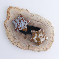 One Star Brecciated Jasper