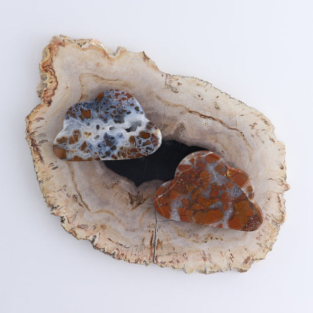 One Cloud Brecciated Jasper