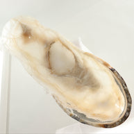 Wholesale [Product Title] | Mi Esperanza Minerals | Supplier of Crystals and Onyx