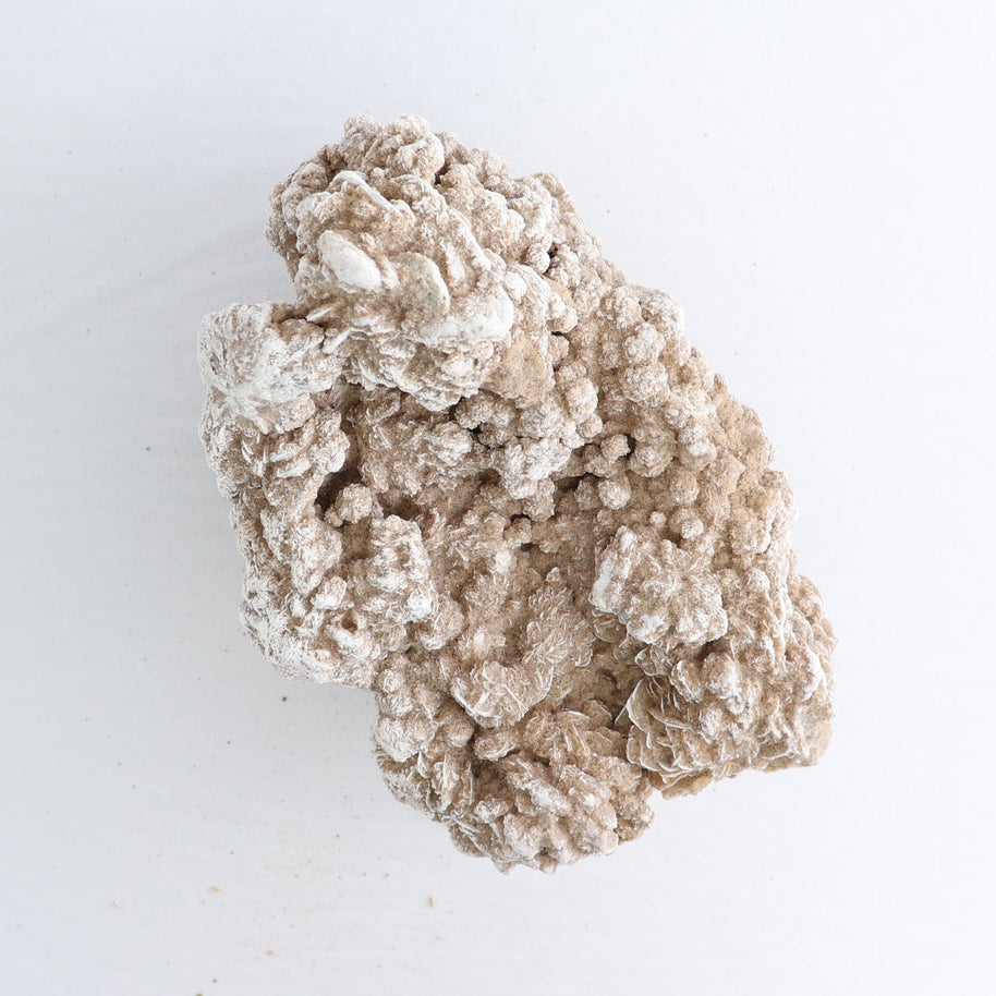 Desert Rose Set of 2