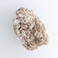 Desert Rose Set of 2