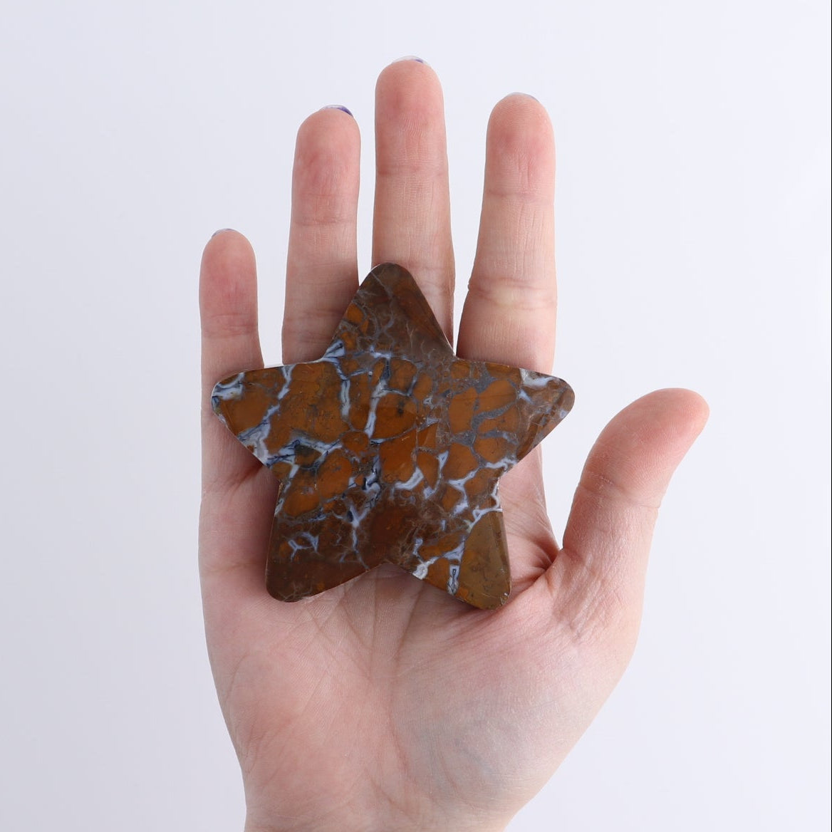 One Star Brecciated Jasper