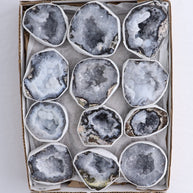 Trancas Geodes Flat of 12