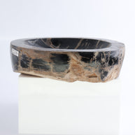 One Petrified Wood Black Polished Bowl