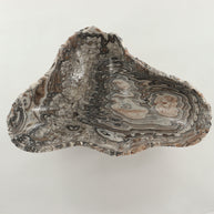 Wholesale [Product Title] | Mi Esperanza Minerals | Supplier of Crystals and Onyx