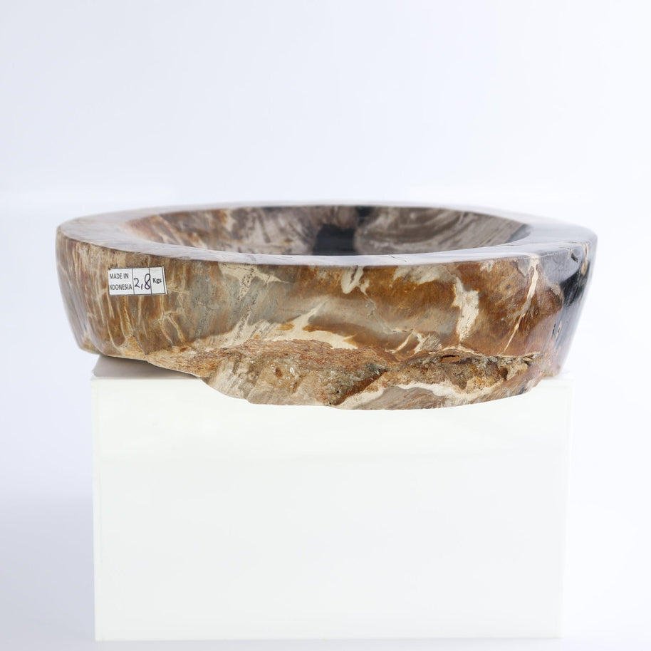 One Petrified Wood Black & Beige Polished Bowl
