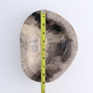 One Petrified Wood Black & Beige Polished Bowl