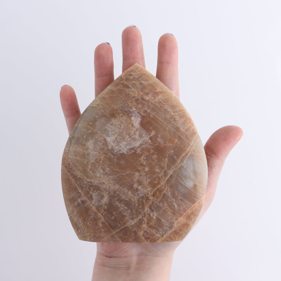 Peach Moonstone Freeform Set of 6