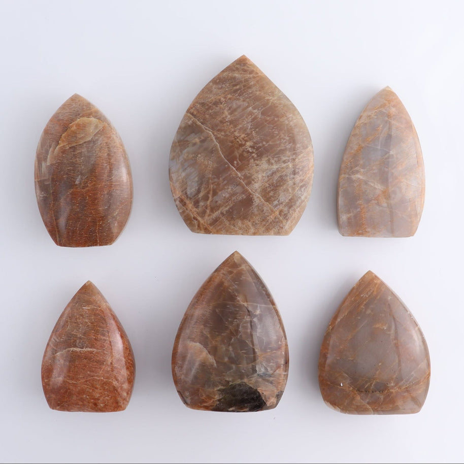Peach Moonstone Freeform Set of 6