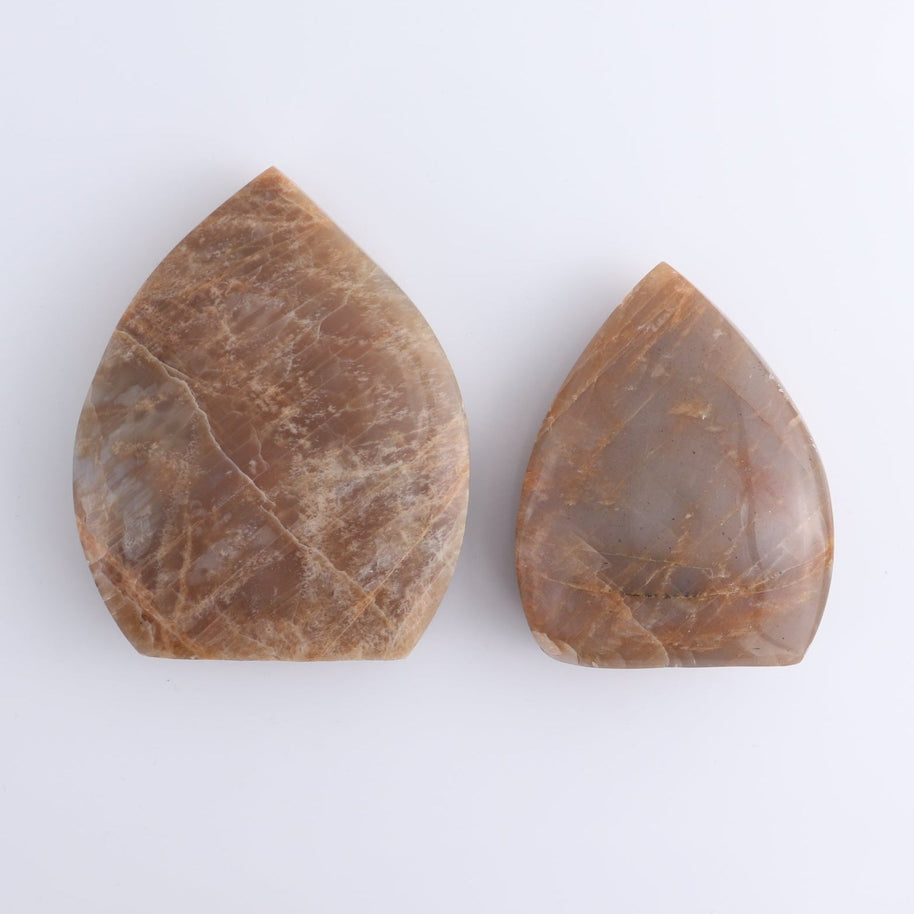Peach Moonstone Freeform Set of 6