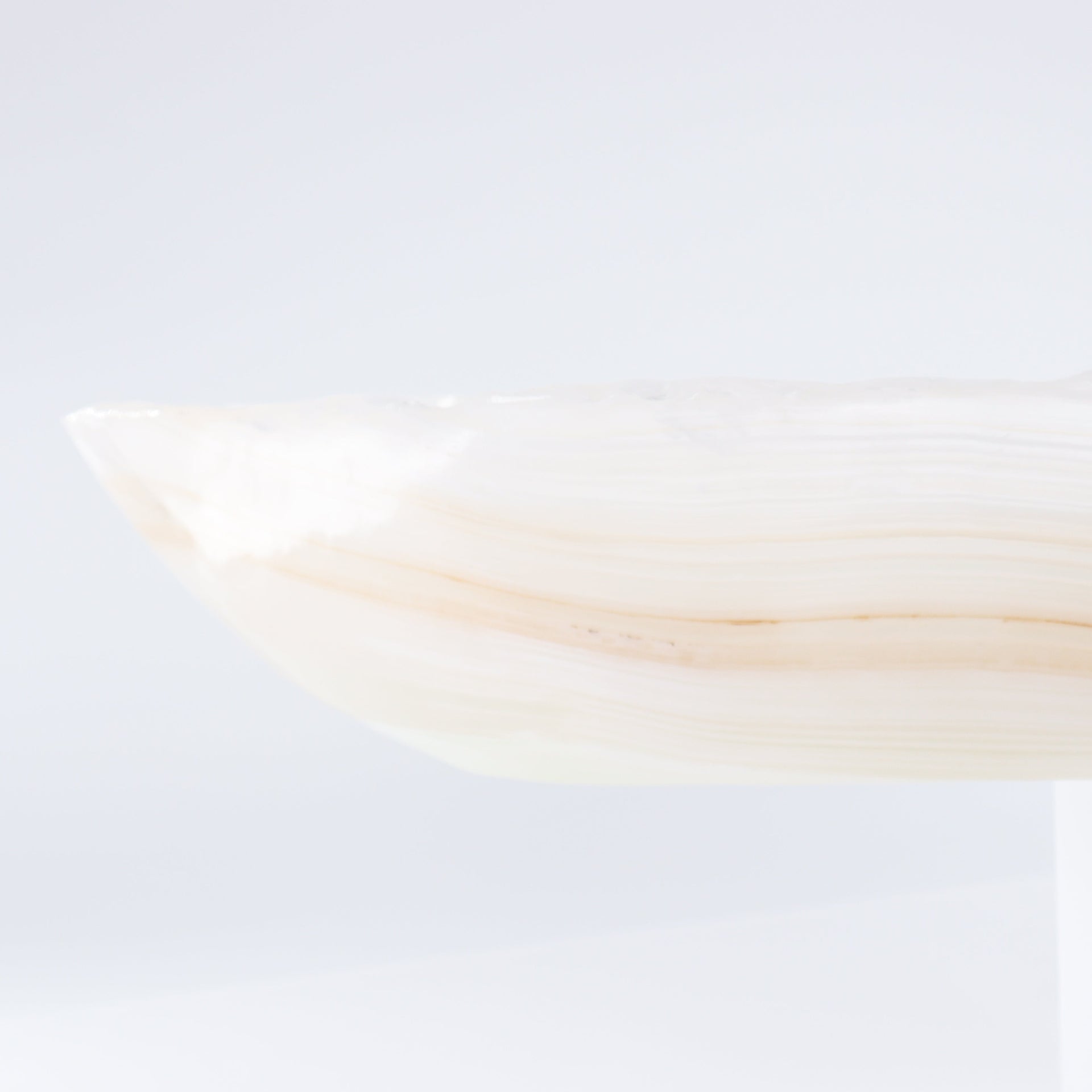 Wholesale [Product Title] | Mi Esperanza Minerals | Supplier of Crystals and Onyx