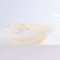 Wholesale [Product Title] | Mi Esperanza Minerals | Supplier of Crystals and Onyx