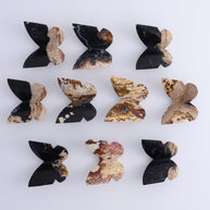 Wholesale [Product Title] | Mi Esperanza Minerals | Supplier of Crystals and Onyx