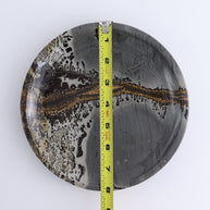 One Picture Jasper Plate